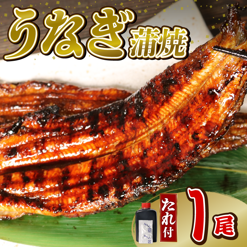 うなぎ 蒲焼 1尾 140g 鰻蒲焼 ウナギ かばやき 土用 丑の日 活鰻 自家製蒲焼 たれ 山椒 ギフト 贈答 冷蔵 まとめ買い 静岡県 藤枝 ふるさと人気