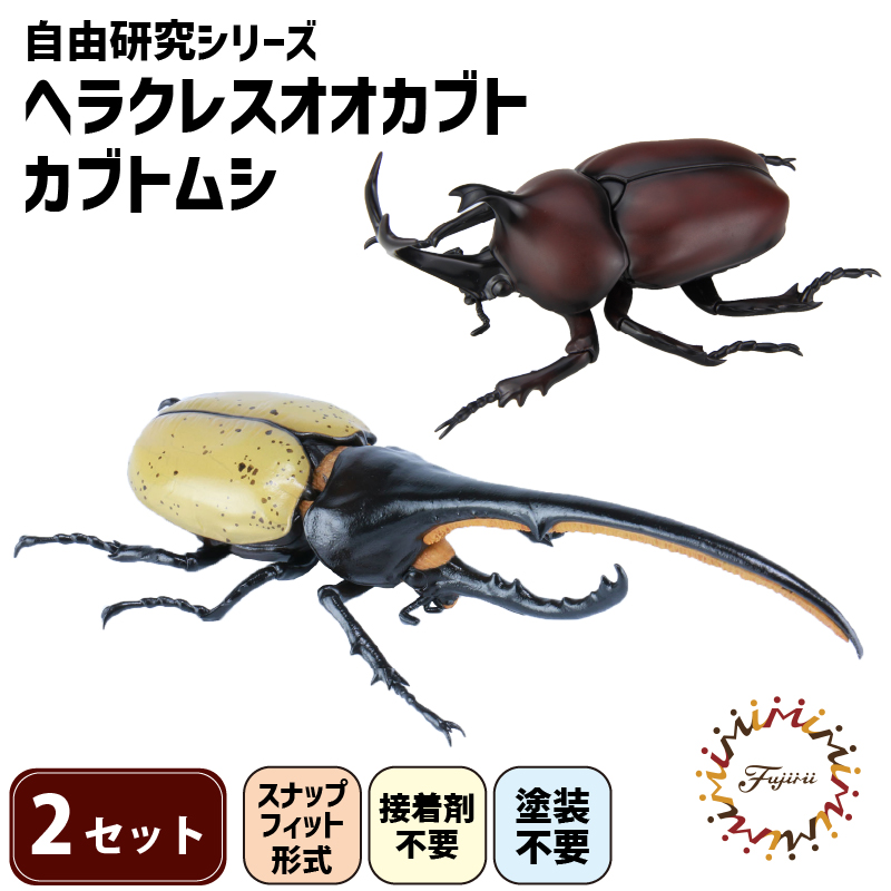 模型 昆虫 自由研究シリーズセット ヘラクレスオオカブト カブトムシ 2セット おもちゃ 玩具 ホビー 夏休み 虫 ヘラクレス 送料無料 フジミ 静岡県 藤枝市