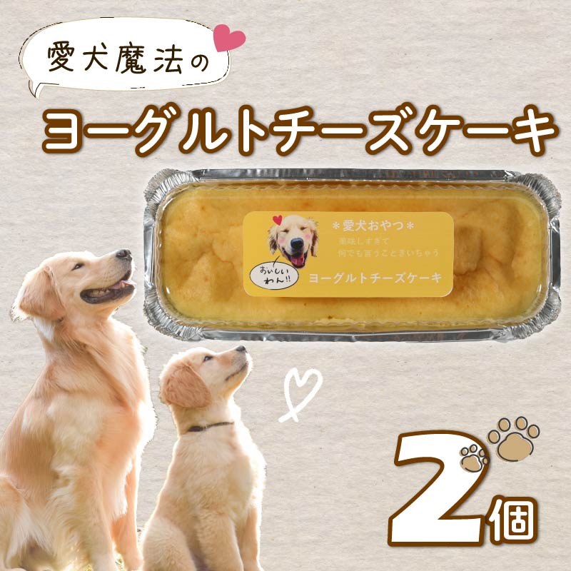 愛犬用 ヨーグルト チーズケーキ 2個 ペット ケーキ おやつ 愛犬 わんちゃん 犬用 ワンちゃん 犬 スイーツ 無添加 静岡 藤枝 2個（15,000円）