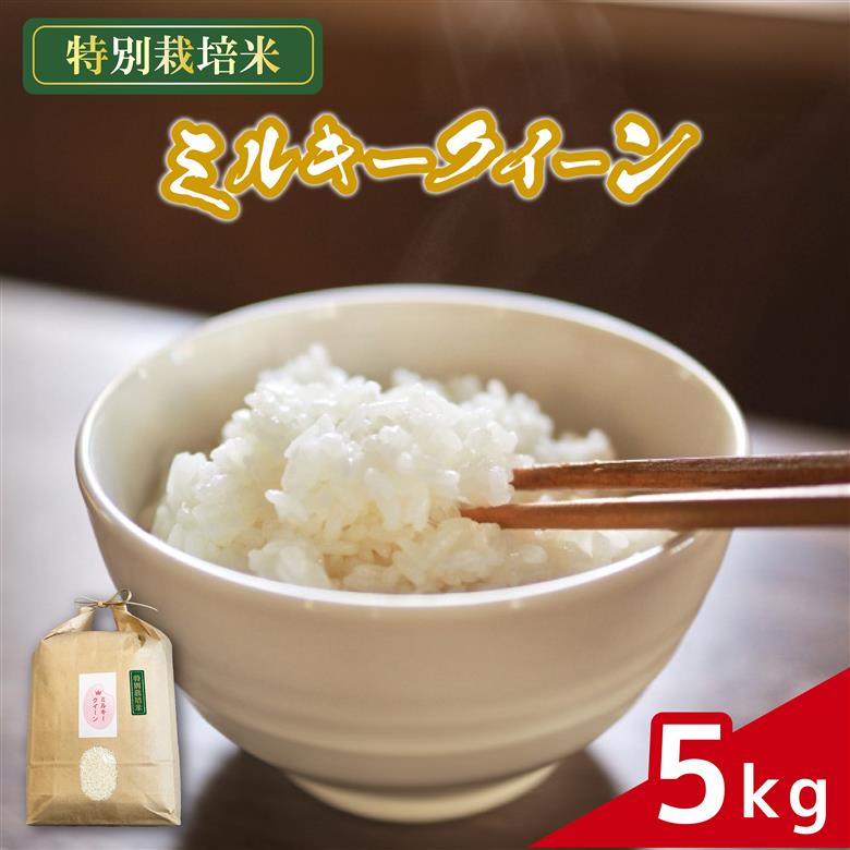 米 ミルキークイーン 5kg 農家直送 特別栽培米 精米 令和7年度産 お米 贈り物 新生活 人気米 ご飯 白米 コメ 贈答 静岡県 藤枝市