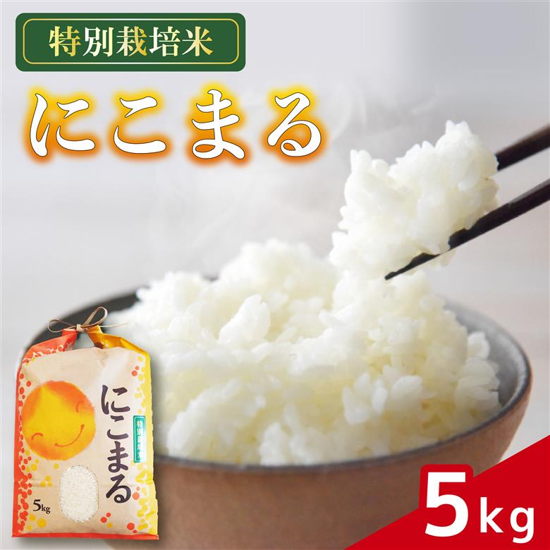 米 にこまる 5kg 農家直送 特別栽培米 精米 令和7年度産 お米 新生活 贈り物 人気米 ご飯 白米 コメ 贈答 静岡県 藤枝市