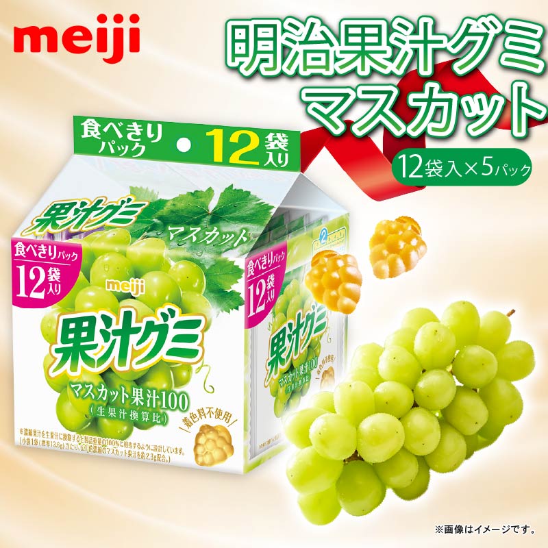 明治 果汁グミスマートパック マスカット 163ｇ × 5個 グミ お菓子 おやつ フルーツ 果物 果汁 詰め合わせ 詰合せ セット まとめ買い 静岡県 藤枝市