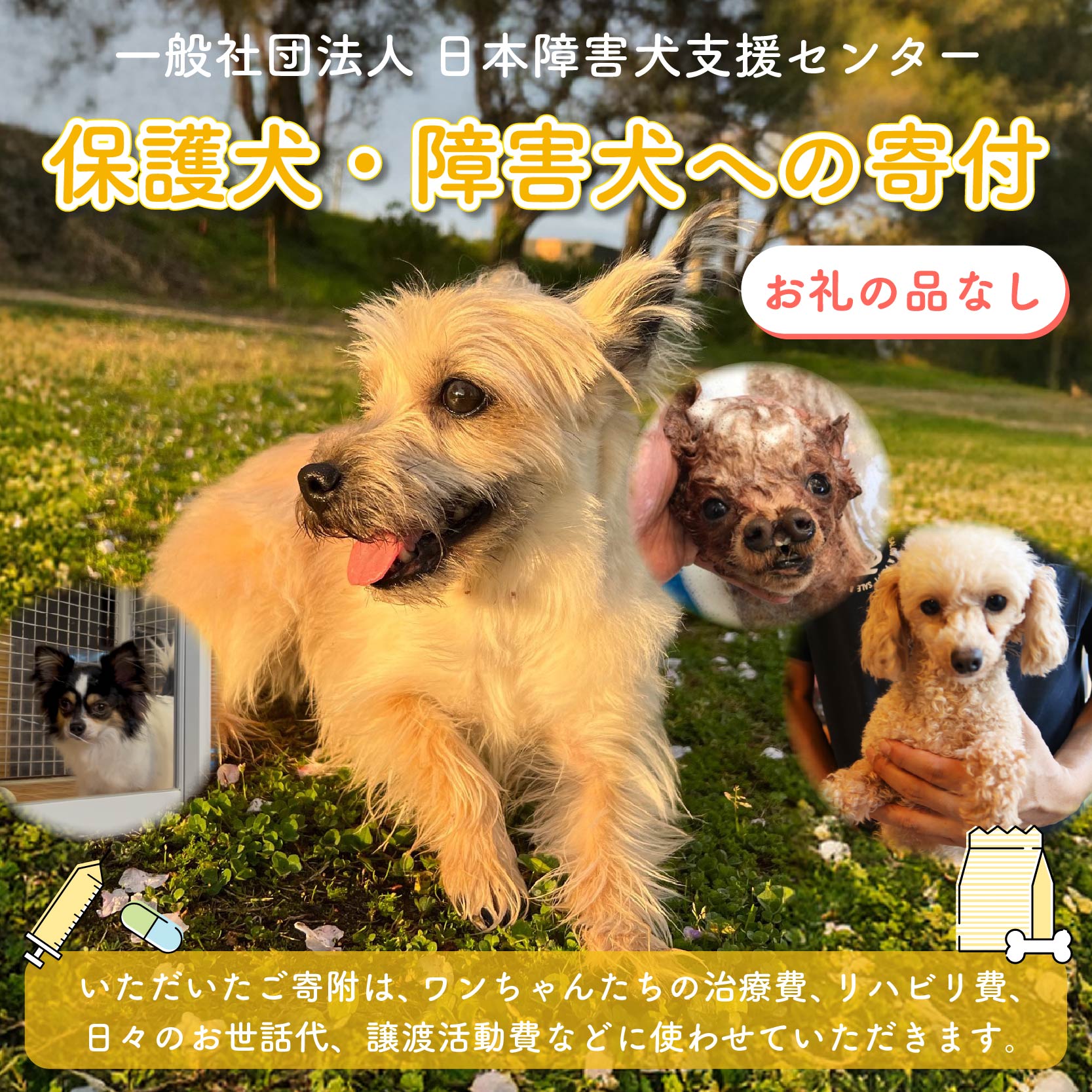 【返礼品なし】 障害犬 保護犬の支援 ハートフルプラン 保護 支援 里親 譲渡 治療 餌 犬 動物愛護 藤枝市 静岡県 ハートフルプラン(50,000円)