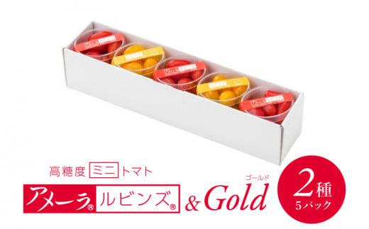 高糖度 ミニトマト アメーラルビンズ ゴールド トマト 5パック セット 糖度 10度 以上 先行予約 2026年1月より発送 アメーラトマト トマト トマト トマト