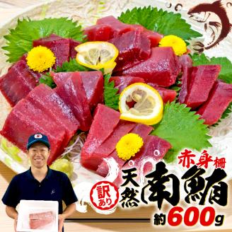 訳あり 天然 南マグロ 赤身 約600g 不定型柵 まぐろ 解凍 鮪 漬け マグロ ユッケ マグロ 海鮮 ミナミ マグロ ( マグロ マグロ マグロ マグロ マグロ マグロ マグロ マグロ マグロ マグロ)