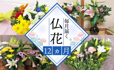 定期便 お供え お花 DX(生花組花2束) 1年コース