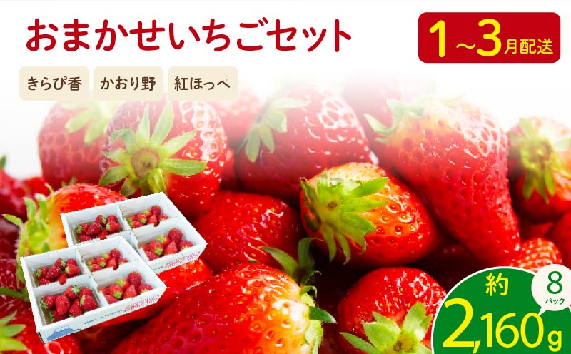 [先行予約 2026年01月より順次発送] いちご 2kg 以上 おまかせ 苺 旬 産地 直送 フレッシュ イチゴ 紅ほっぺ きらぴ香 かおり野 フルーツ 果物 国産 ジャパンベリー オンライン決済限定 静岡県 藤枝市