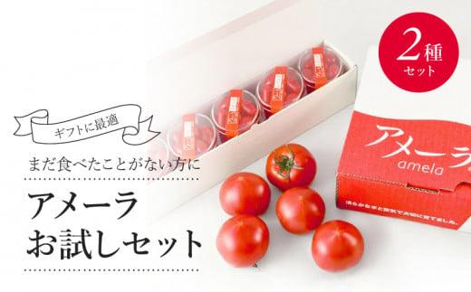 アメーラ トマト ミニトマト 5パック セット アメーラルビンズ 高糖度 7.5以上 化粧箱入り 産地 直送 新鮮 旬の 野菜 高級 フルーツトマト アメーラトマト トマト トマト トマト