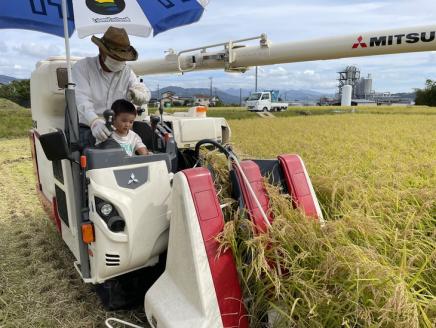 ピロール米　御殿場こしひかり　2kg ◇ ｜ 令和7年産 コシヒカリ 米 精米 白米 静岡県
