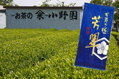 創業明治44年 老舗の高級深蒸し煎茶「百年の極 芳翠（ほうすい）」《御殿場こだわり推奨品》９０ｇ×２本