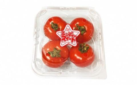 御殿場　中玉トマト　シンディスイート　６パック（約1.2kg） ※2025年1月下旬〜7月上旬頃に順次発送予定 ※離島への配送不可