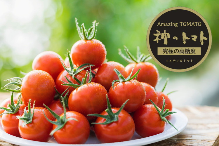 神のトマト 1kg ｜ ミニトマト とまと 野菜 やさい フルティカ 栄養 旨味 富糖度