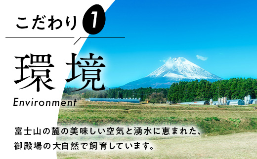 【定期便6ヶ月】《毎月5日にお届け》御殿たまご 赤たまご 24個入 （破損保障含む）もみがら入 ◇ ｜ 卵 タマゴ 玉子 たまごかけご飯 生卵 鶏卵 卵焼き 国産 御殿場産 ※北海道・沖縄・離島への配送不可