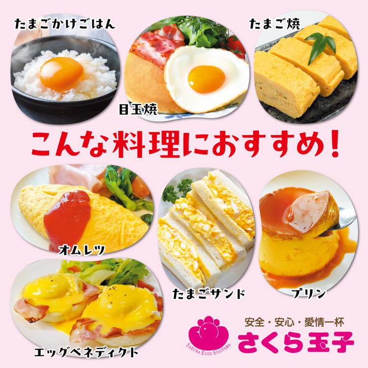 【定期便9ヵ月】純国産鶏さくらちゃんが産んだ桜色のさくら玉子 五分咲き（Mサイズ）30個 ｜ 卵 鶏卵 たまご タマゴ 生卵 たまごかけご飯 濃厚 甘み 国産