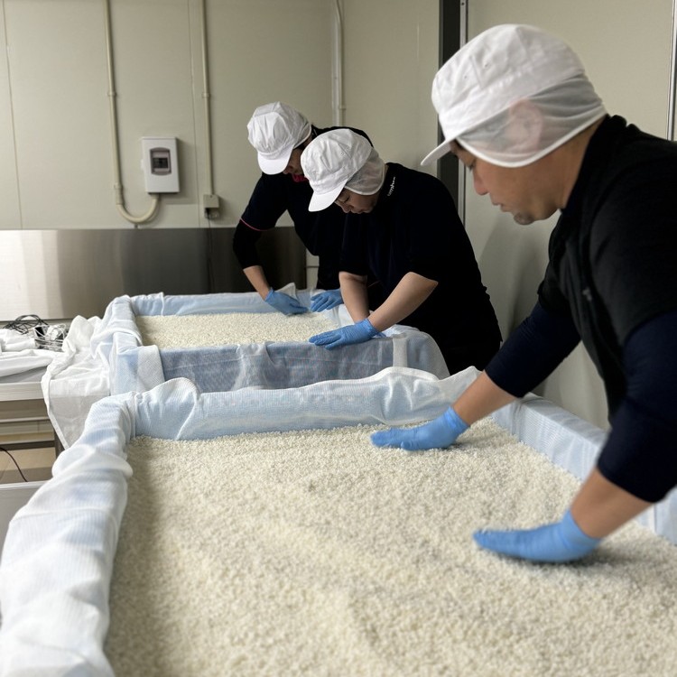 792.御殿場地ワイン＆地酒セット　3種（36シャルドネ・「榮」純米吟醸・「雪解」純米吟醸）