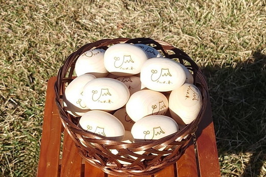 富士山が育んだひのきのたまご～富士山の恵「ごてんばっ木」が、あなたに癒しとやすらぎをお届けします～ ◇