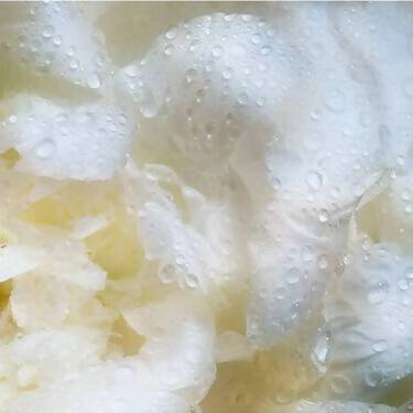 ヘレナ ルビンスタイン プロディジー CELグロウ デューイ エッセンス ローション 200ml ｜ ロレアル スキンケア 化粧品