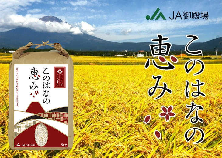 ごてんばこしひかり「このはなの恵み」5kg【お米　コシヒカリ】