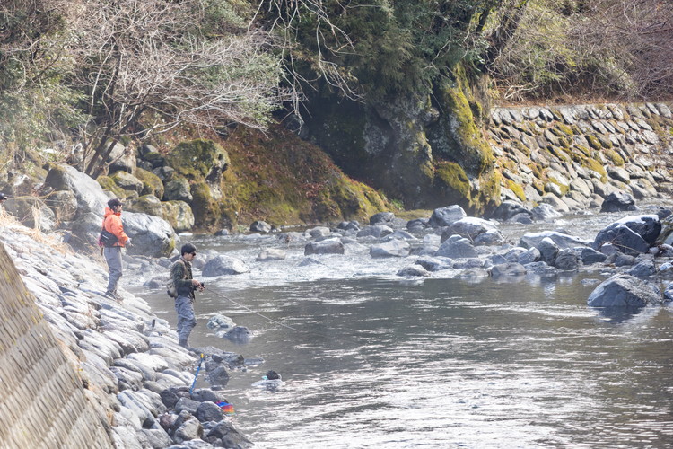 鮎沢川あまご釣り 「年券」高校生券 | 游漁券 釣り フィッシング 鮎沢川 渓流釣り アマゴ 静岡県 御殿場市