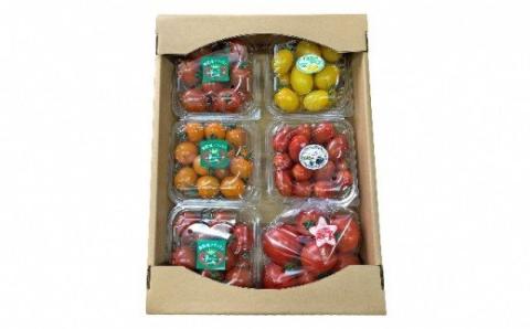 御殿場プチトマト　ミックス６パック（約1.2kg） ※2025年1月下旬〜7月上旬頃に順次発送予定 ※離島への配送不可