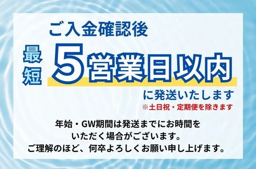 【年内発送】《最短5営業日以内発送》静岡県産 緑茶 500ml×24本 【年内お届け】 ｜ ラベルレス ペットボトル お茶 飲料 ※沖縄・離島への配送不可