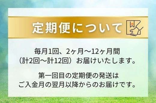 【定期便12ヶ月】静岡県産 緑茶 500ml×48本 ｜ ラベルレス ペットボトル お茶 飲料 ※沖縄・離島への配送不可