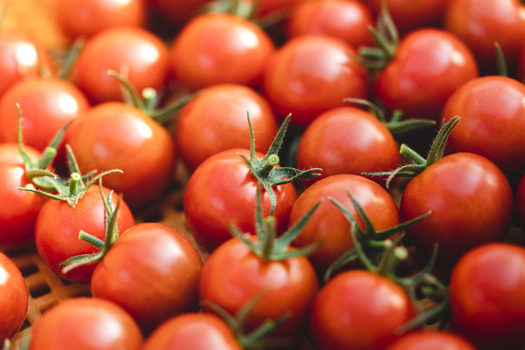 神のトマト 1kg ｜ ミニトマト とまと 野菜 やさい フルティカ 栄養 旨味 富糖度