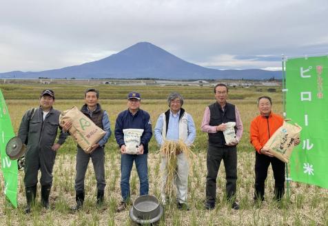 ピロール米　御殿場こしひかり　2kg ◇ ｜ 令和7年産 コシヒカリ 米 精米 白米 静岡県