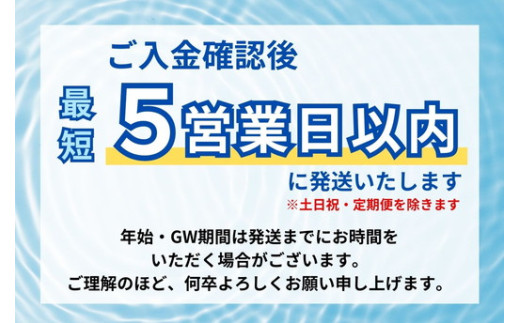 【年内発送】《最短5営業日以内発送》富士山の天然水 500ml×24本【年内お届け】◇ ｜ 水 お水 飲料水 ミネラルウォーター ペットボトル 防災 キャンプ アウトドア 備蓄 寄附額 10000 10000円 1万円 以下 以内蓄