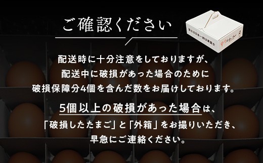 【定期便12ヵ月】《毎月10日お届け》御殿たまご 赤たまご 24個入（破損保障含む）（6個入モウルドパック×4P入） ◇ ｜ 卵 タマゴ 玉子 たまごかけご飯 生卵 鶏卵 卵焼き 国産 御殿場産 ※北海道・沖縄・離島への配送不可