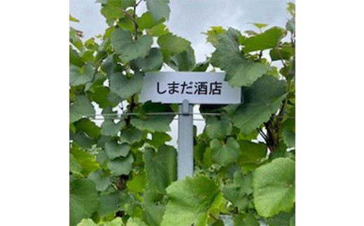 1680.御殿場山麓36ワイン 2本セット