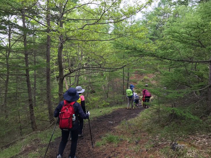 山小屋で昼食＆プロガイド付き富士山五合目トレッキング（3～5名）◇【体験　自然　トレッキング　ハイキング】