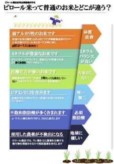 ピロール米　御殿場こしひかり　2kg ◇ ｜ 令和7年産 コシヒカリ 米 精米 白米 静岡県
