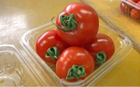 御殿場　中玉トマト　シンディスイート　６パック（約1.2kg） ※2025年1月下旬〜7月上旬頃に順次発送予定 ※離島への配送不可