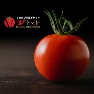 フルーツトマトジュース180ml（V-TOMATOジュース）10本セット【野菜　飲料　高糖度】 ※着日指定不可