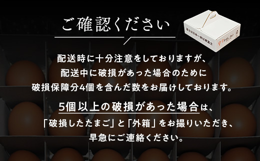 【定期便12ヵ月】《毎月16日にお届け》御殿たまご　赤たまご24個入り（破損保障含む） ｜ 卵 タマゴ 玉子 たまごかけご飯 生卵 鶏卵 卵焼き 国産 御殿場産 ※北海道・沖縄・離島への配送不可