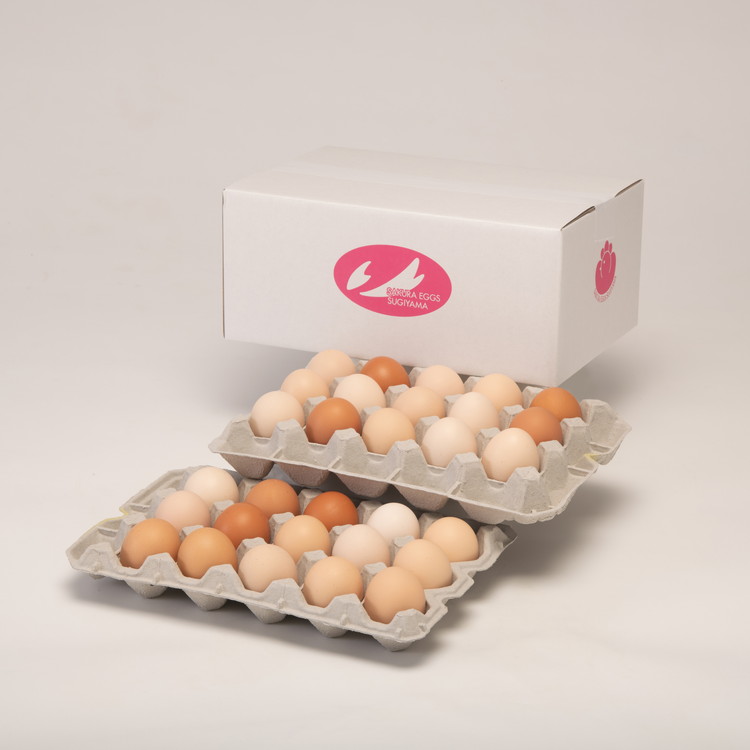 純国産鶏さくらちゃんが産んだ桜色のさくら玉子の五分咲き30個◇ | 卵 鶏卵 たまご タマゴ 生卵 たまごかけご飯 濃厚 甘み 国産 寄附額 10000 10000円 1万円 以下 以内