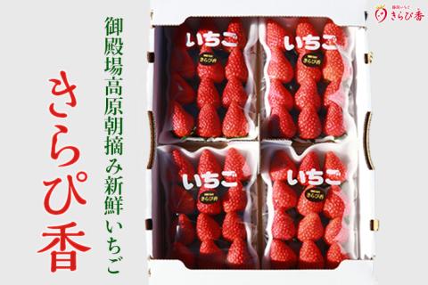 御殿場高原朝摘み新鮮いちご「きらぴ香」■　※2025年2月中旬頃～順次発送　※北海道・沖縄・離島への配送不可