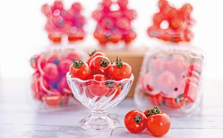 御殿場プチトマト　あっこひめ　６パック（約1.2kg） ※2025年1月下旬〜7月上旬頃に順次発送予定 ※離島への配送不可