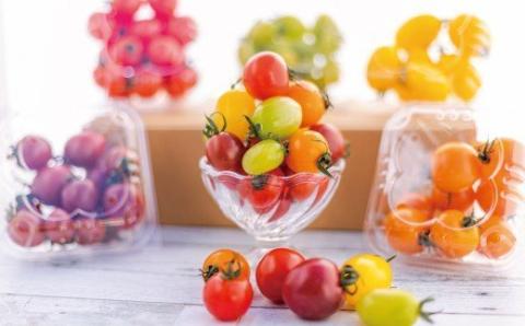 御殿場プチトマト　ミックス６パック（約1.2kg） ※2025年1月下旬〜7月上旬頃に順次発送予定 ※離島への配送不可