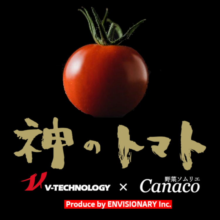 神のトマト 1kg ｜ ミニトマト とまと 野菜 やさい フルティカ 栄養 旨味 富糖度