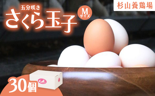 純国産鶏さくらちゃんが産んだ桜色のさくら玉子の五分咲き30個◇ | 卵 鶏卵 たまご タマゴ 生卵 たまごかけご飯 濃厚 甘み 国産 寄附額 10000 10000円 1万円 以下 以内