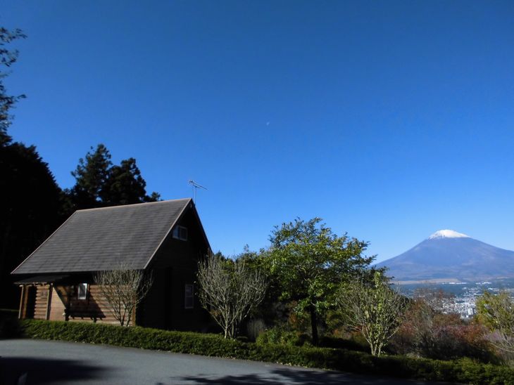 乙女森林公園第２キャンプ場宿泊券（コテージＣ：８名タイプ）