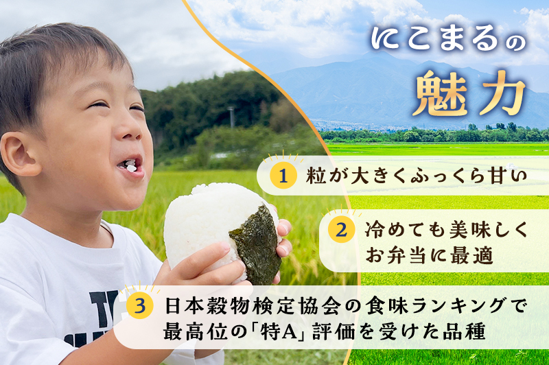 お米 令和7年度産静岡産にこまる精米 10kg 米 コメ にこまる 精米 白米 袋井市 静岡県