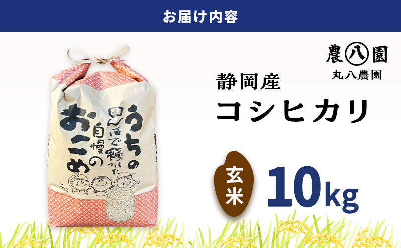 お米 令和7年度産静岡産コシヒカリ玄米 10kg 米 コメ こしひかり コシヒカリ 玄米 袋井市 静岡県