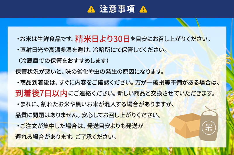お米 令和7年度産静岡産コシヒカリ玄米 10kg 米 コメ こしひかり コシヒカリ 玄米 袋井市 静岡県