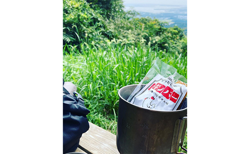 チキンバー（スパイシーカレー味）［10本入り×8パックセット］