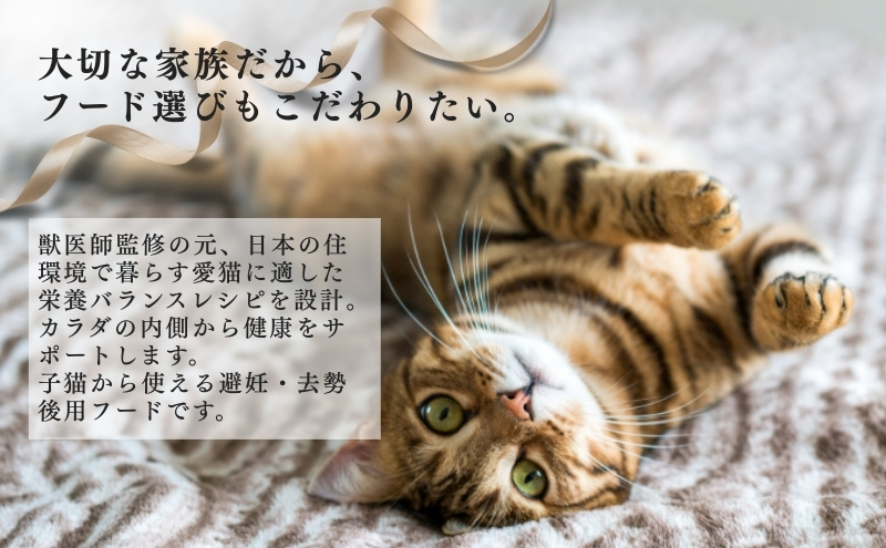 日本ペットフード ビューティープロ キャット 避妊・去勢後用 1.4kg（280g×5袋入）×8袋（ケース） キャットフード