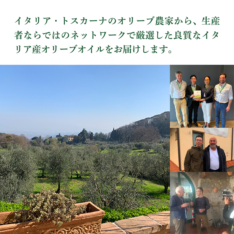 産地厳選 イタリア産エキストラバージンオリーブオイル 450g×3個 【11月中旬より順次発送】調味料 油 オリーブ油 食用油 静岡県 袋井市