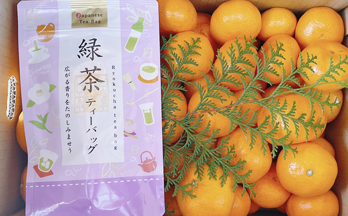 こたつみかん　静岡セット（お茶とみかん約5kg）【配達不可地域あり】